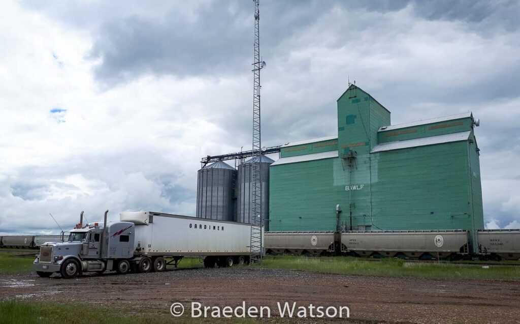 Bawlf, AB grain elevator, July 2020. Contributed by Braeden Watson.