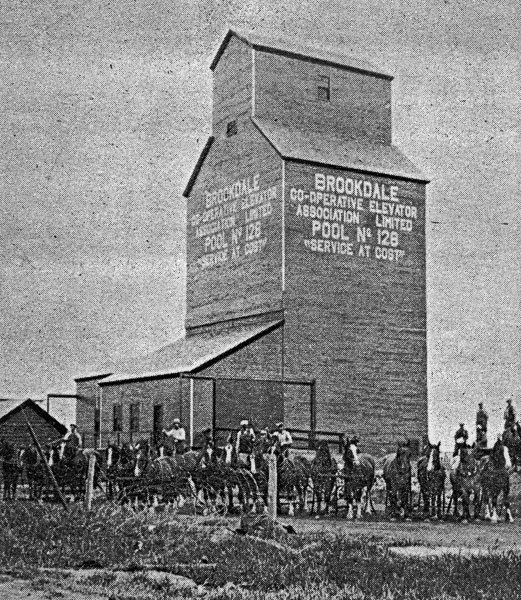 Brookdale Pool elevator, 1928, from newspaper clipping.