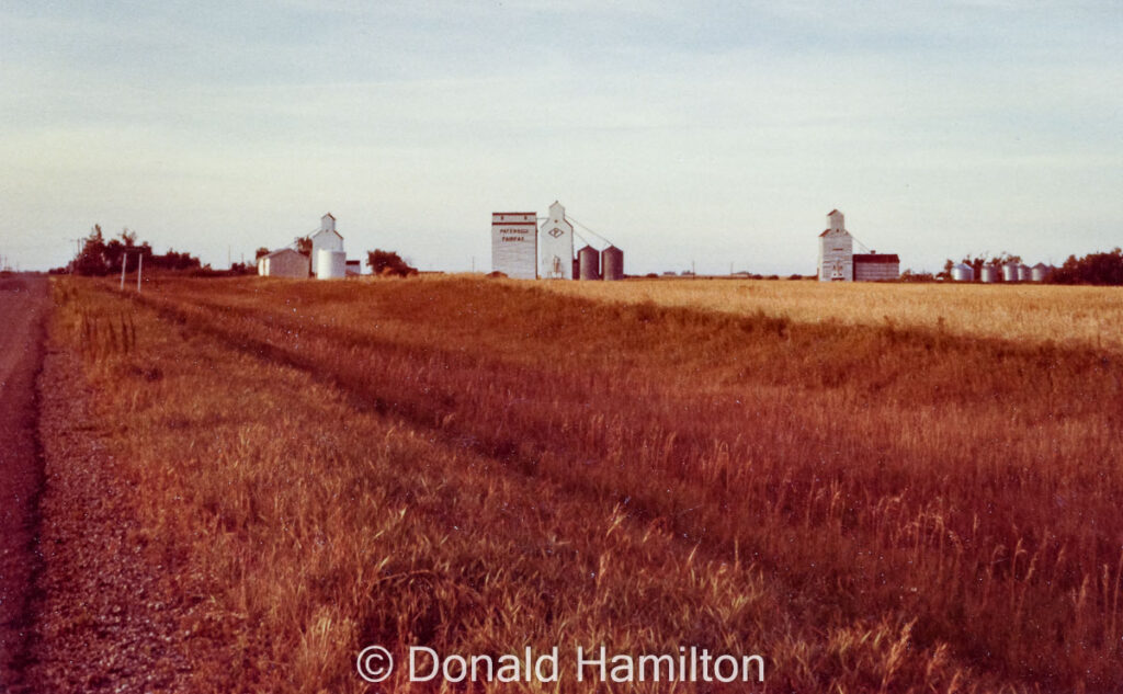 Grain elevators in Fairfax, MB. Photo by Donald Hamilton.