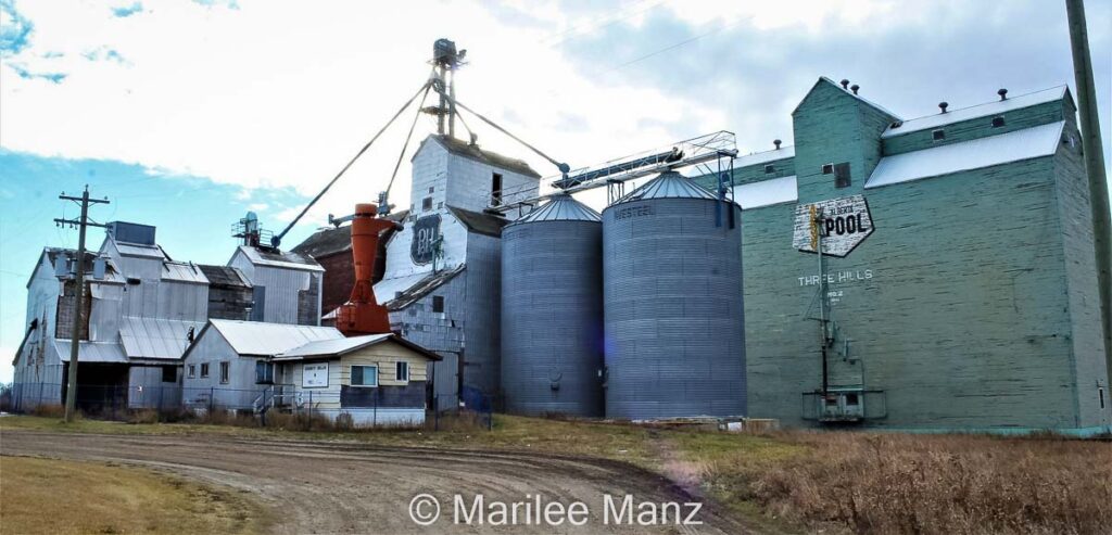 Grain elevators in Three Hills, AB. Contributed by Marilee Manz.