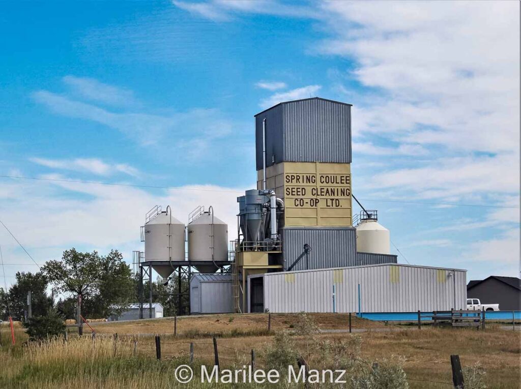 Seed elevator in Spring Coulee, AB, 2020. Contributed by Marilee Manz.