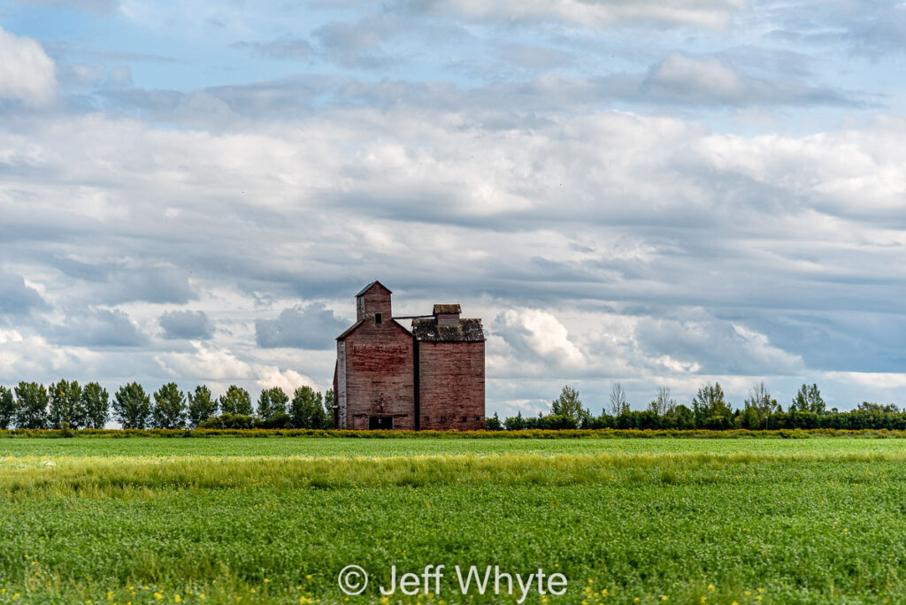 Grain elevators in Naisberry, SK. Contributed by Jeff Whyte.