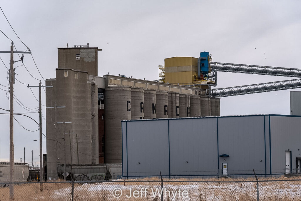 Canada Malting grain complex in Calgary, AB. Contributed by Jeff Whyte.