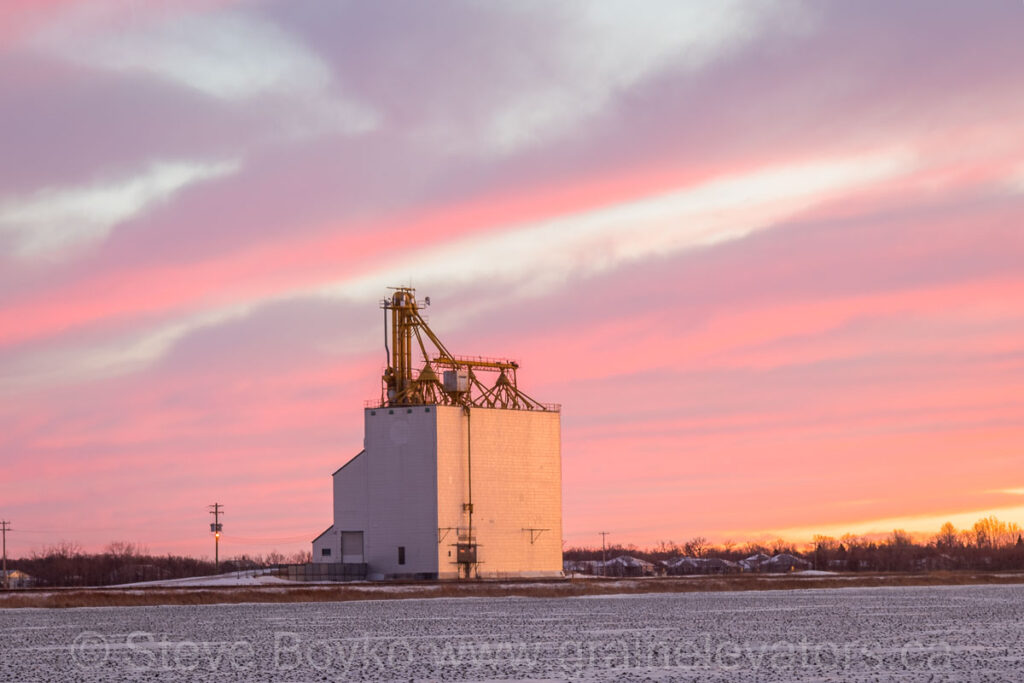 The Elie grain elevator, Jan 2021. Contributed by Steve Boyko.