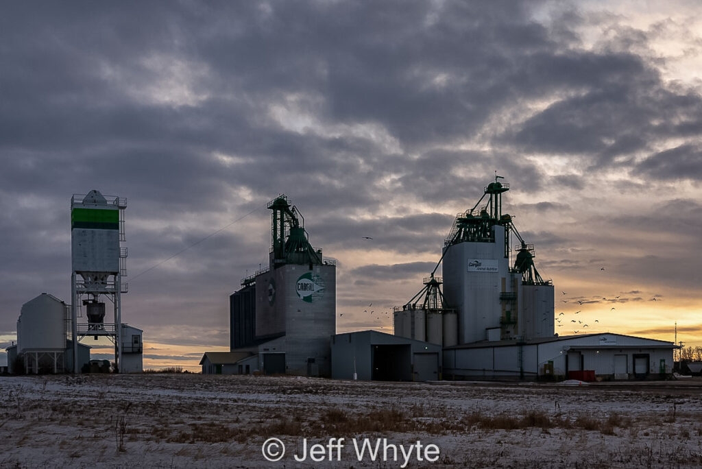 Ervick, AB grain elevators, Dec 2020. Contributed by Jeff Whyte.