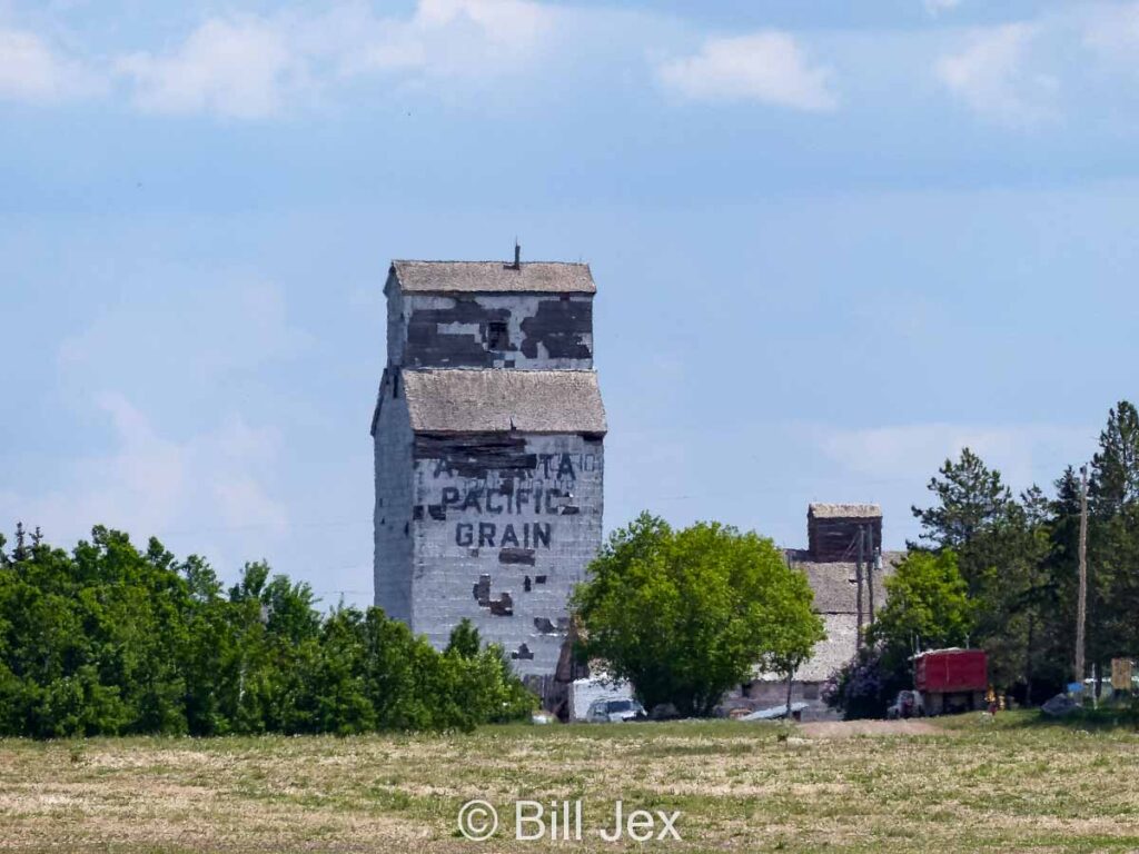 Grain elevator near Lousana, AB, June 2014. Contributed by Bill Jex.