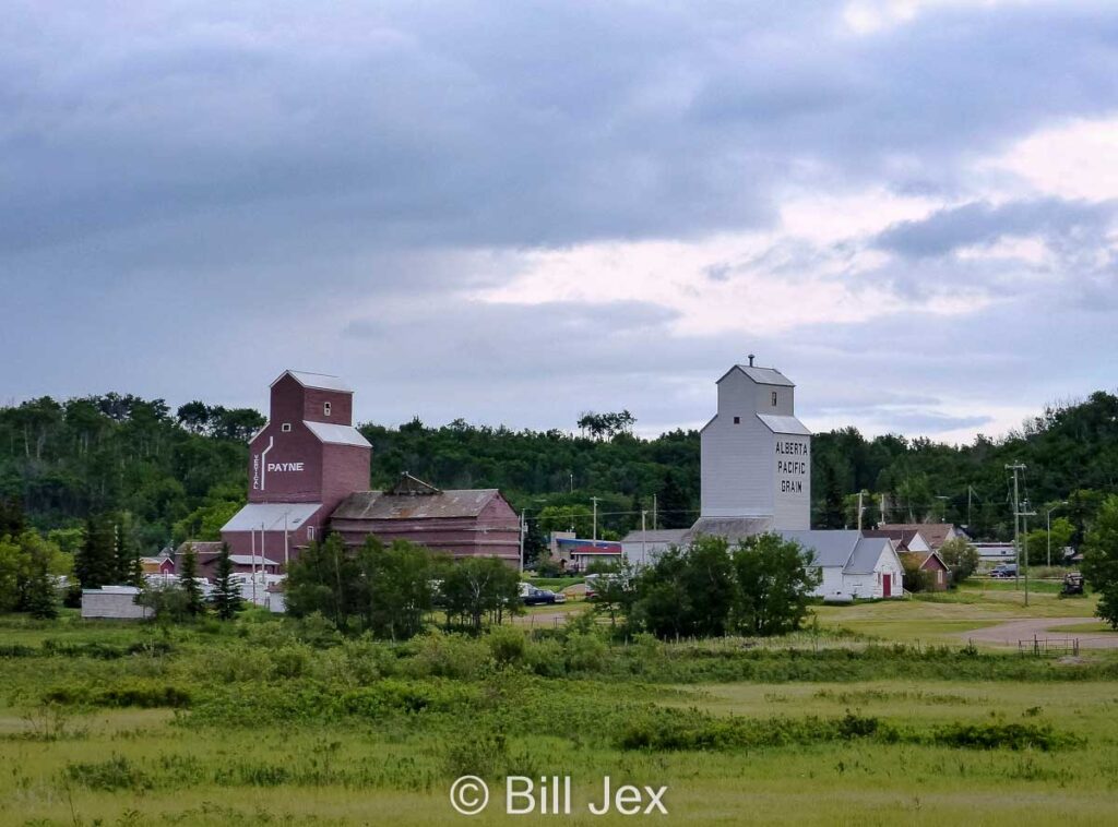 Grain elevators in Meeting Creek, AB, June 2014. Contributed by Bill Jex.