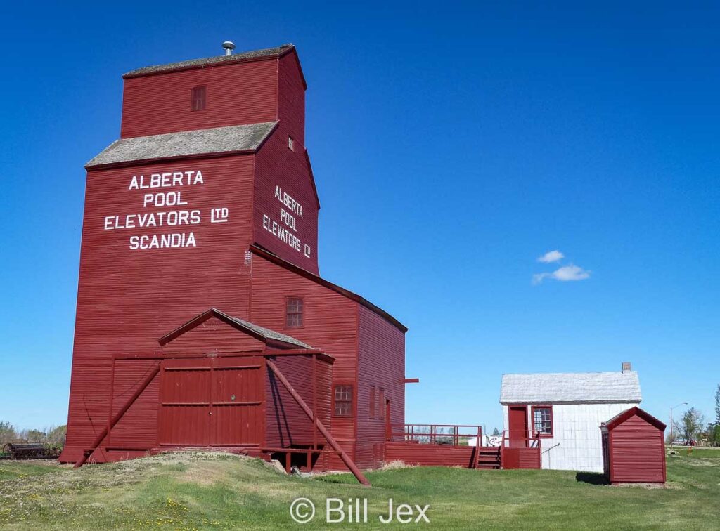 Scandia, AB grain elevator, May 2013. Contributed by Bill Jex.