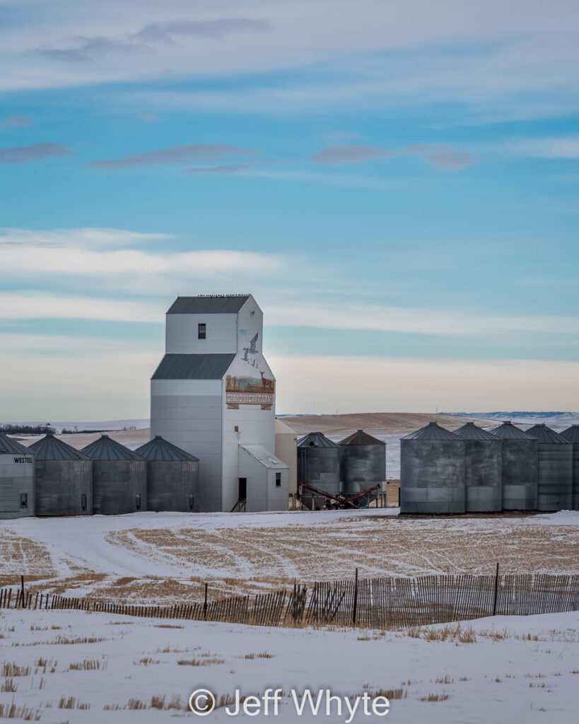 Grand View Farm elevator near Beynon, AB, 2021. Contributed by Jeff Whyte.