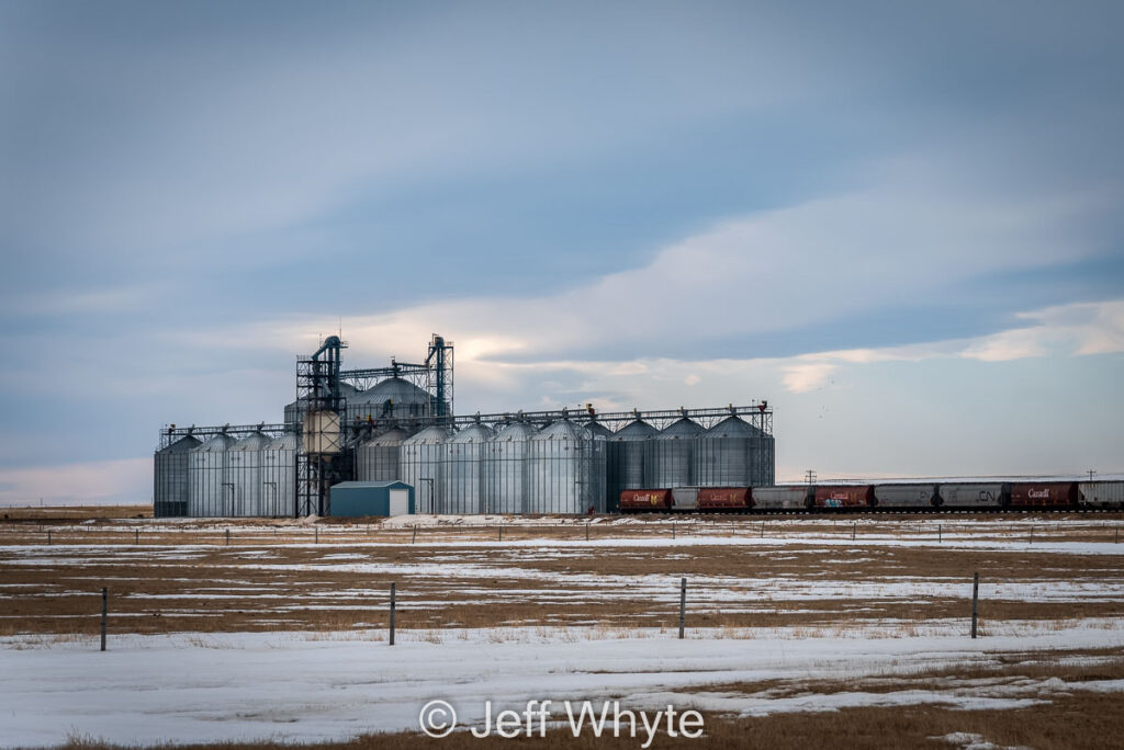 Parrish and Heimbecker grain facility near Lyalta, AB, 2021. Contributed by Jeff Whyte.