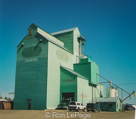 Bashaw, AB grain elevator, June 2008. Contributed by Ron LePage.