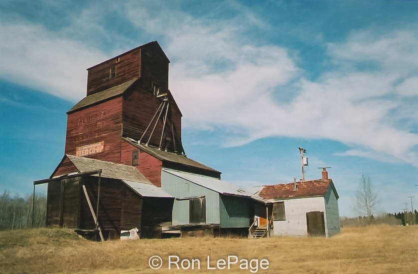 Morningside, AB grain elevator, date unknown. Contributed by Ron LePage.