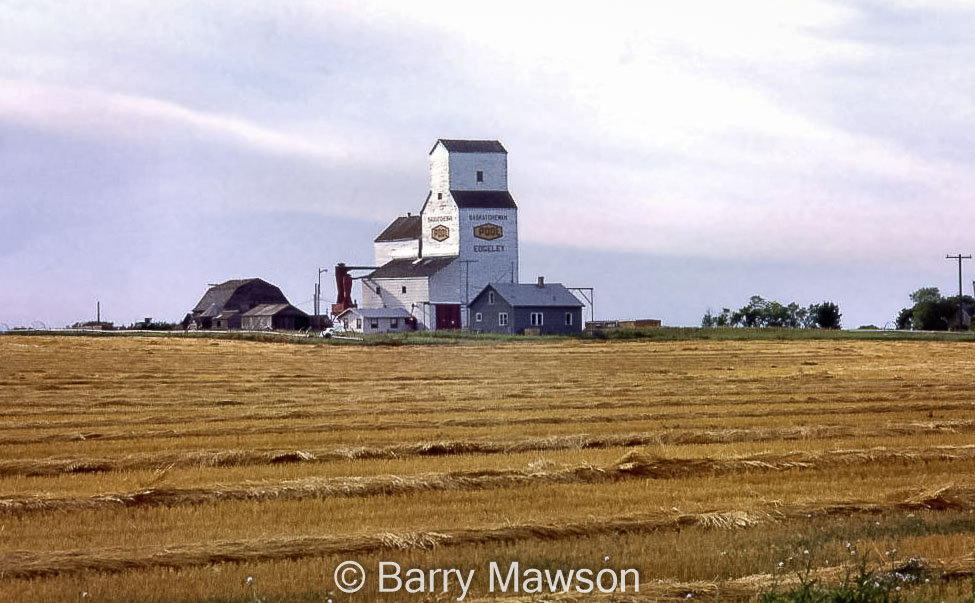 Wheat Pool grain elevator in Edgeley, SK. Contributed by Barry Mawson.