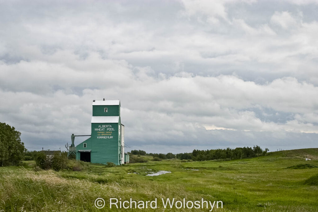 Kirriemuir, AB grain elevator, Sep 2013. Contributed by Richard Woloshyn.