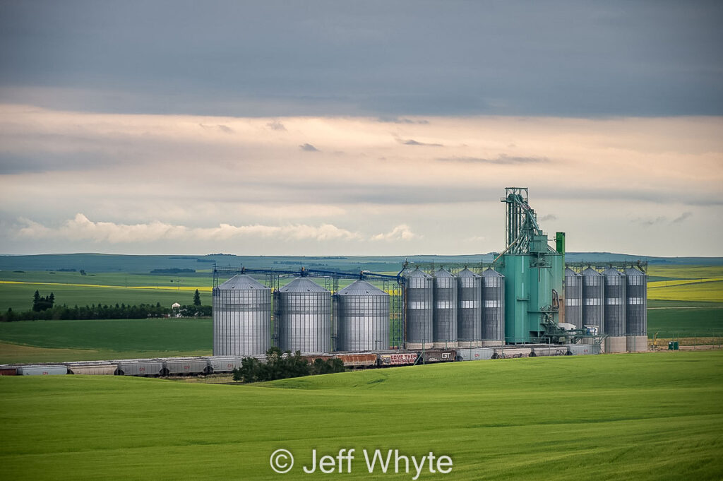 Large grain elevator outside Three Hills, Alberta, July 2021. Contributed by Jeff Whyte.