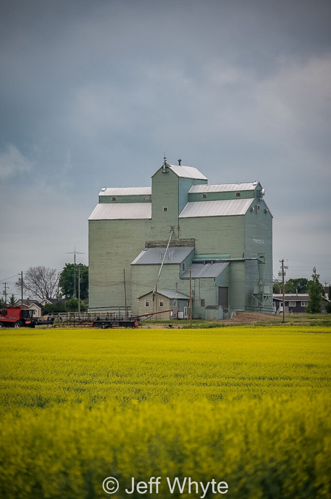 Old Alberta Wheat Pool grain elevator in Trochu, Alberta, July 2021. By Jeff Whyte.