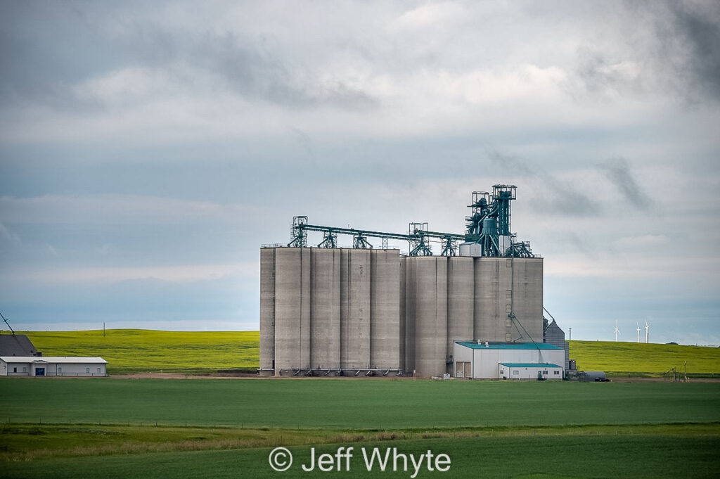 Concrete Viterra grain elevator near Trochu, July 2021. Contributed by Jeff Whyte.