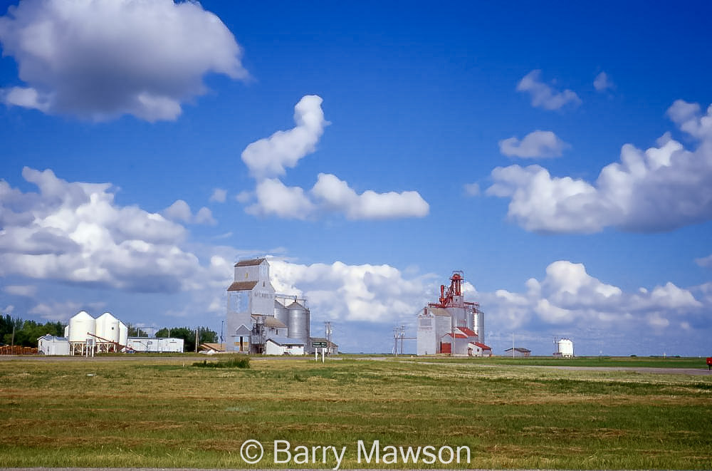 Grain elevators in Francis, SK, 1996. Contributed by Barry Mawson.