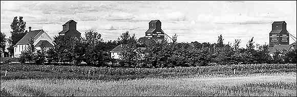 Homewood grain elevators, 1950s.  Photographer unknown.