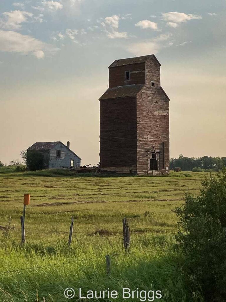 Walpole, SK grain elevator, July 2021. Contributed by Laurie Briggs.