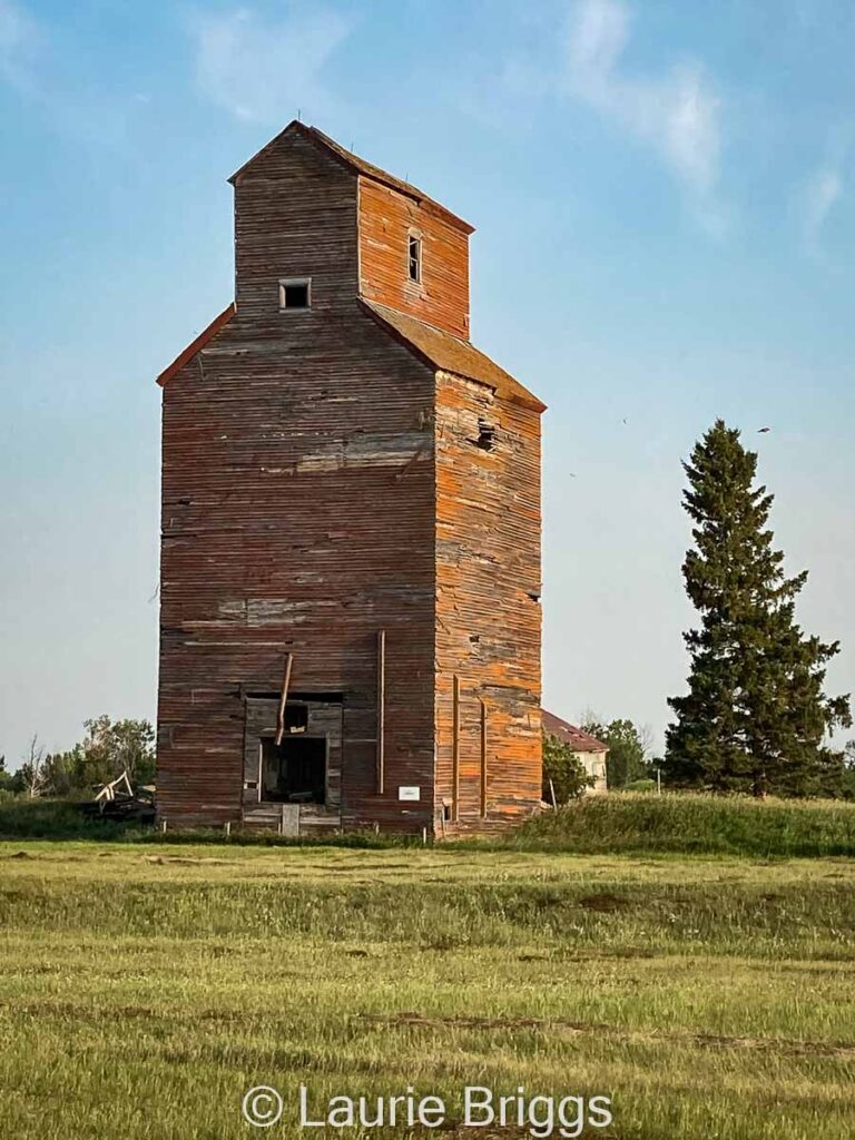 Grain elevator in Walpole, SK, July 2021. Contributed by Laurie Briggs.