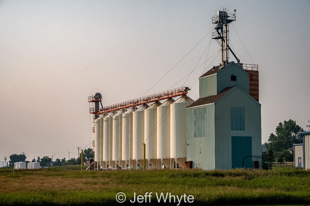 Standard, AB grain complex, July 2021. Contributed by Jeff Whyte.