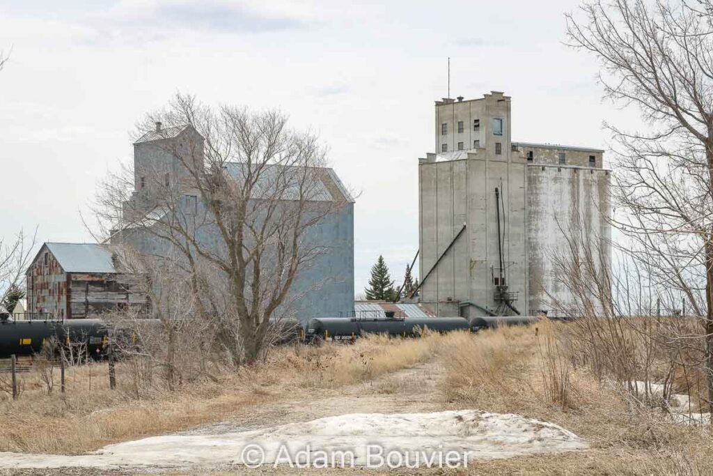 Two grain elevators