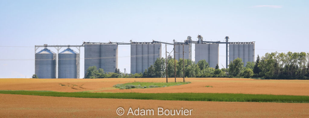 Concrete grain elevators