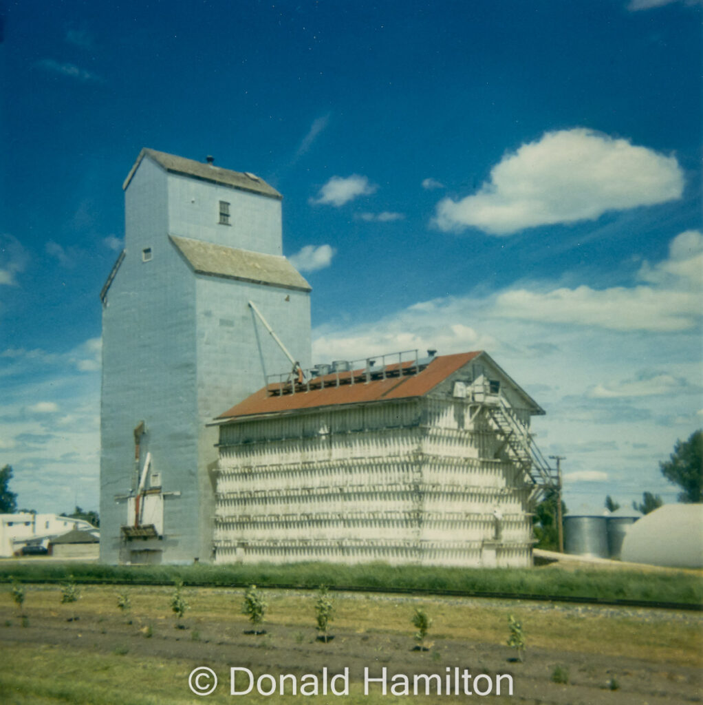 Paterson grain elevator in Elm Creek, Manitoba, June 1991.