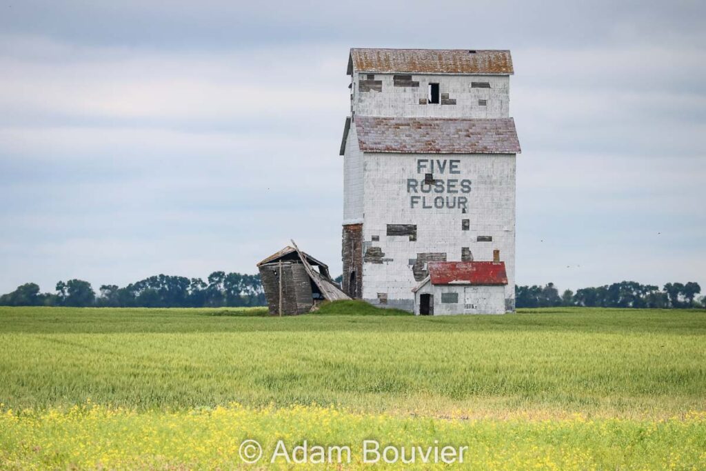 Cameron, MB grain elevator, July 2020.