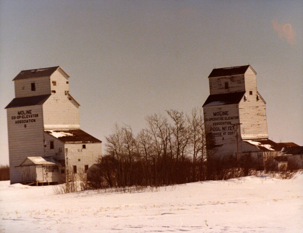 Two grain elevators in Moline, MB, November 1984.