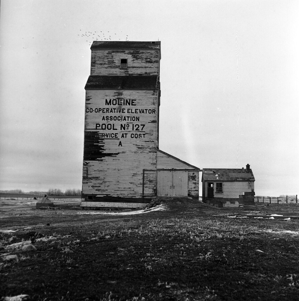 Manitoba Pool grain elevator at Moline, November 1984.