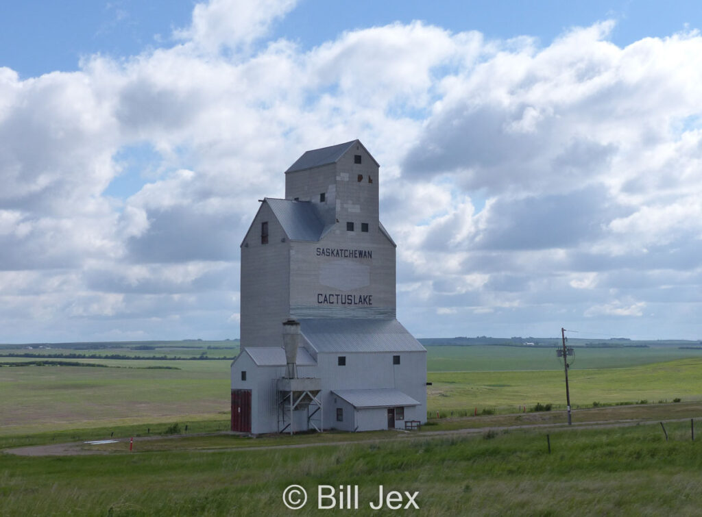 Grain elevator in Cactus Lake, SK, June 2022. Contributed by Bill Jex.