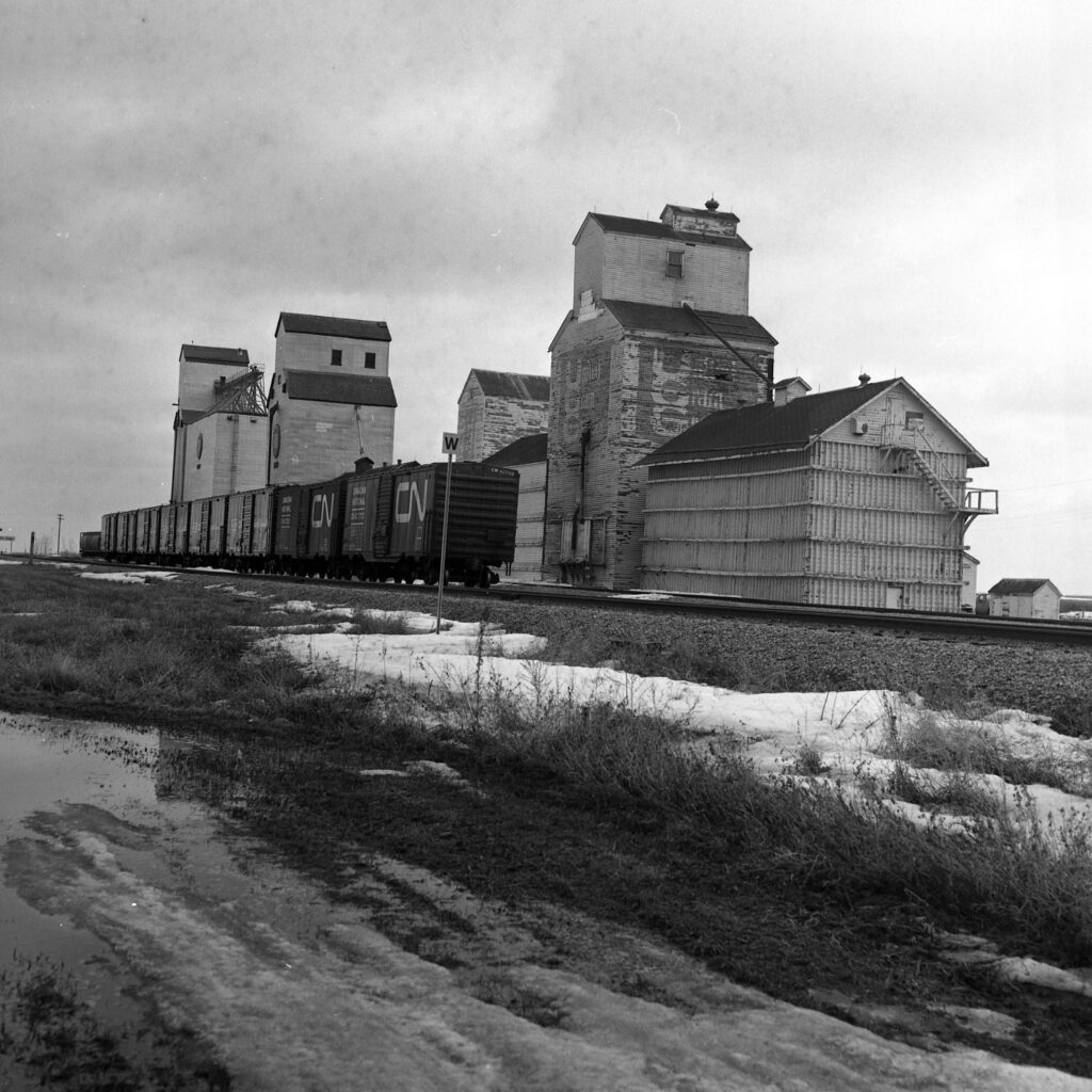 Three grain elevators in Elgin, MB in March 1986.