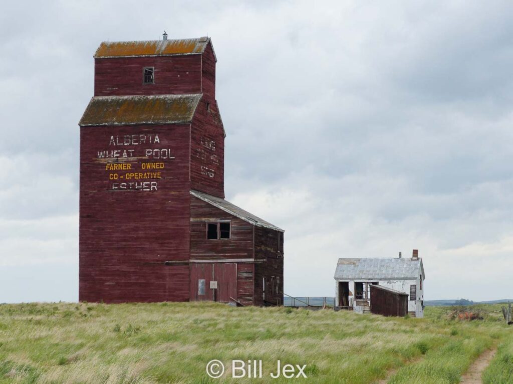 Grain elevator in Esther, AB, June 2022. Contributed by Bill Jex.