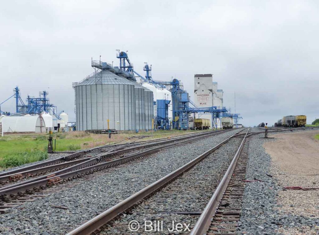 View of grain facilities in Wilkie, SK, June 2022. Contributed by Bill Jex.