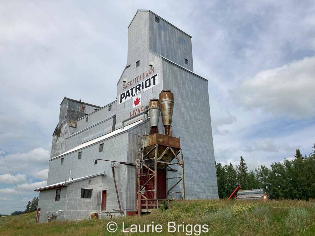 Driveway side of Hyas, SK grain elevator, July 2022. Contributed by Laurie Briggs.