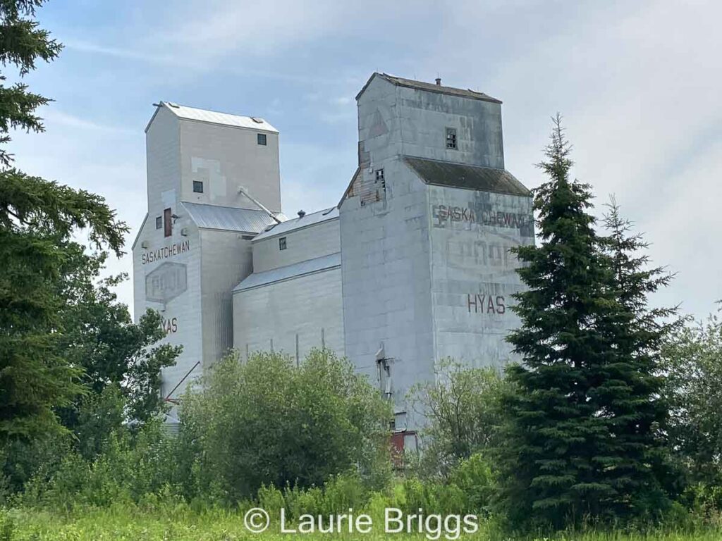 Ex Saskatchewan Wheat Pool grain elevator in Hyas, SK. Contributed by Laurie Briggs.