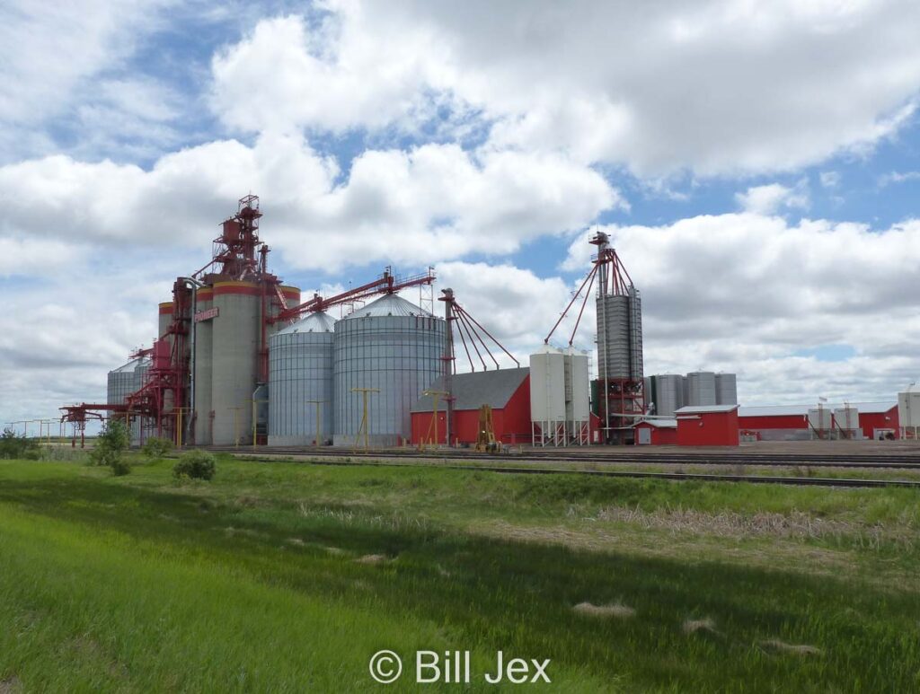 Pioneer grain elevator near Marshall, SK, June 2022. Contributed by Bill Jex.