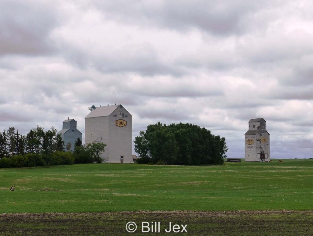 Grain elevators in D'Arcy, SK, June 2022. Contributed by Bill Jex.