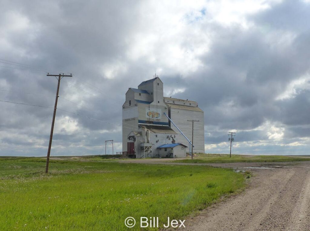 Grain elevator in Dodsland, SK, June 2022. Contributed by Bill Jex.