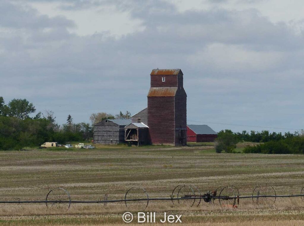 Grain elevator near Leney, SK, June 2022. Contributed by Bill Jex.