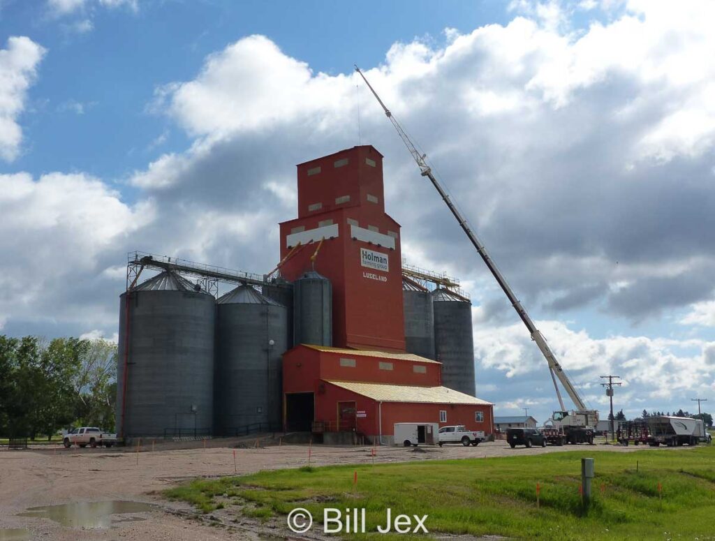 Former Pioneer grain elevator in Luseland, SK, June 2022. Contributed by Bill Jex.