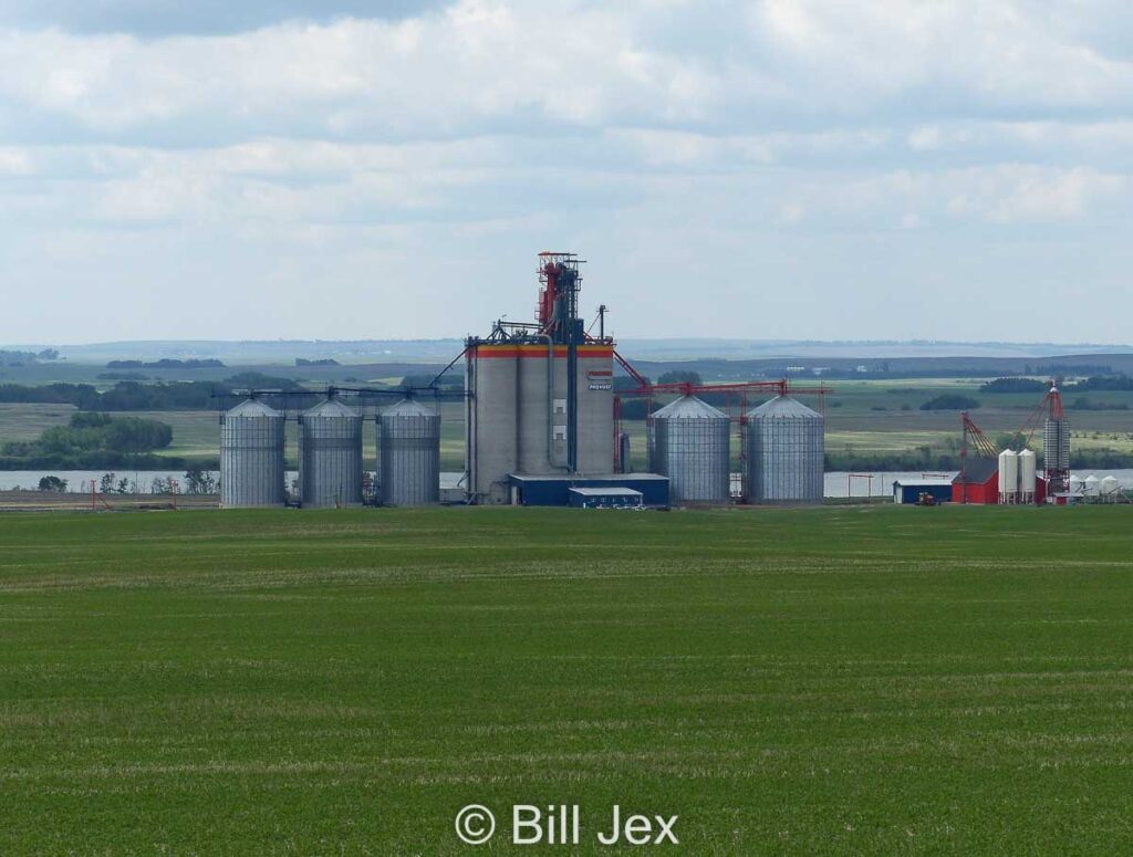 Pioneer grain terminal in Provost, AB, June 2022. Contributed by Bill Jex.