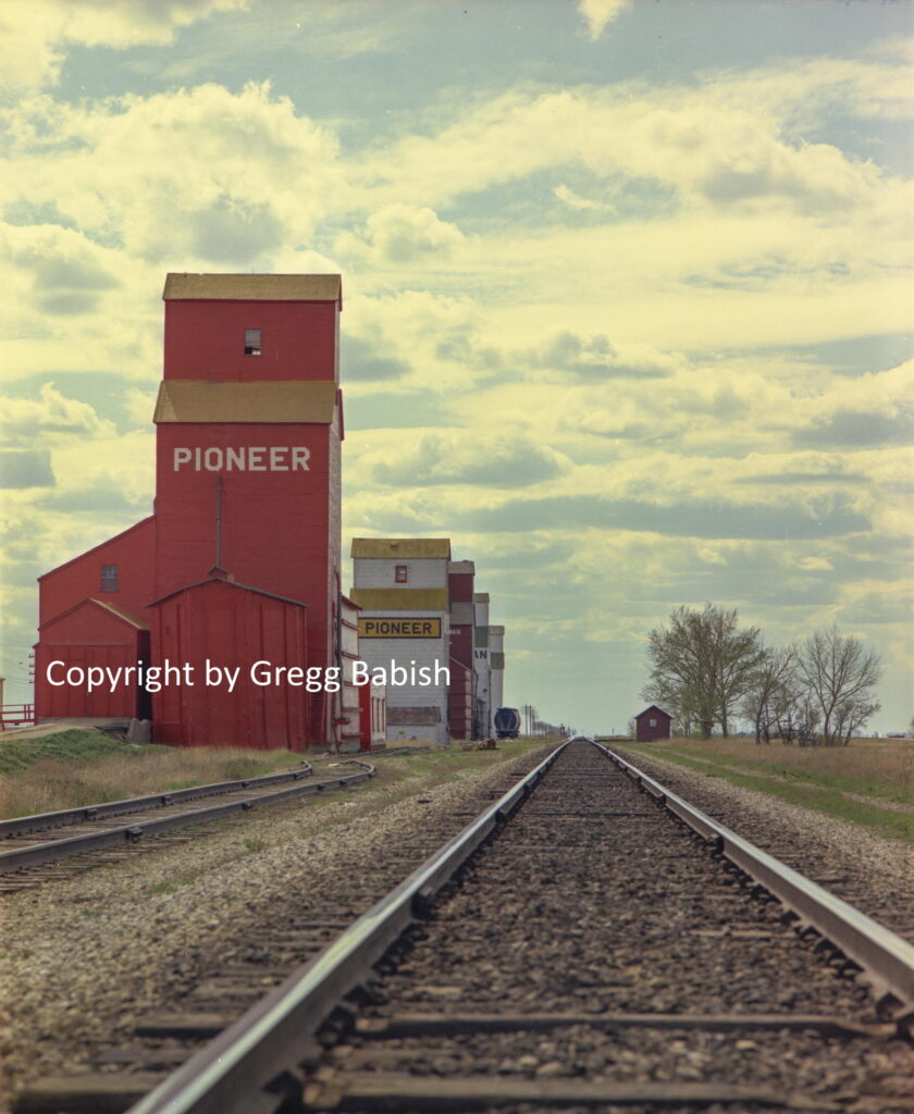 Five grain elevators along a railway track.