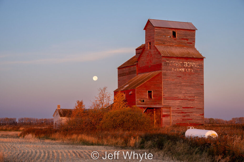 Grain elevator near Naisberry, SK, Oct 2022. Contributed by Jeff Whyte.