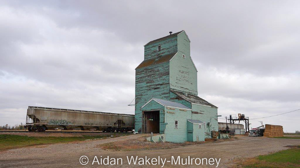 Railway cars at a green grain elevator in Brant Alberta