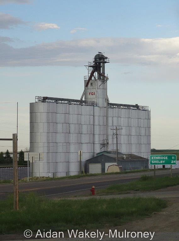 Tall steel grain elevator in Cut Bank Montana, with lettering FGI on top.