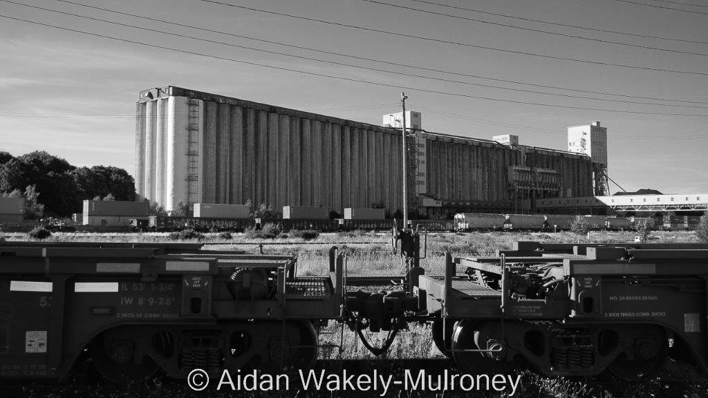 Black and white image of a large concrete grain elevator in Halifax with a train in the foreground