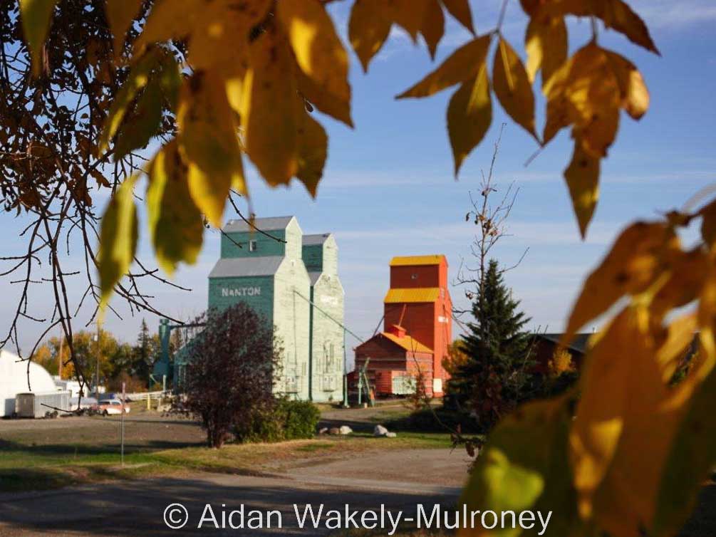 Green and red grain elevators framed by autumn leaves.
